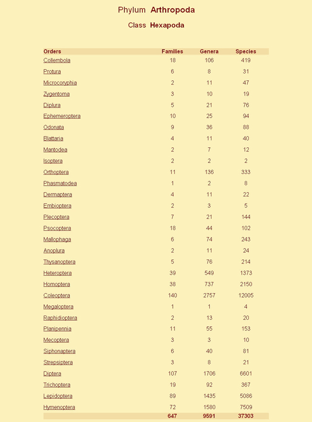 Galleria di alcuni Insetti determinati presenti sul Forum